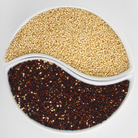 Raw Red and White Quinoa Grains