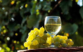 The health benefits of white wine