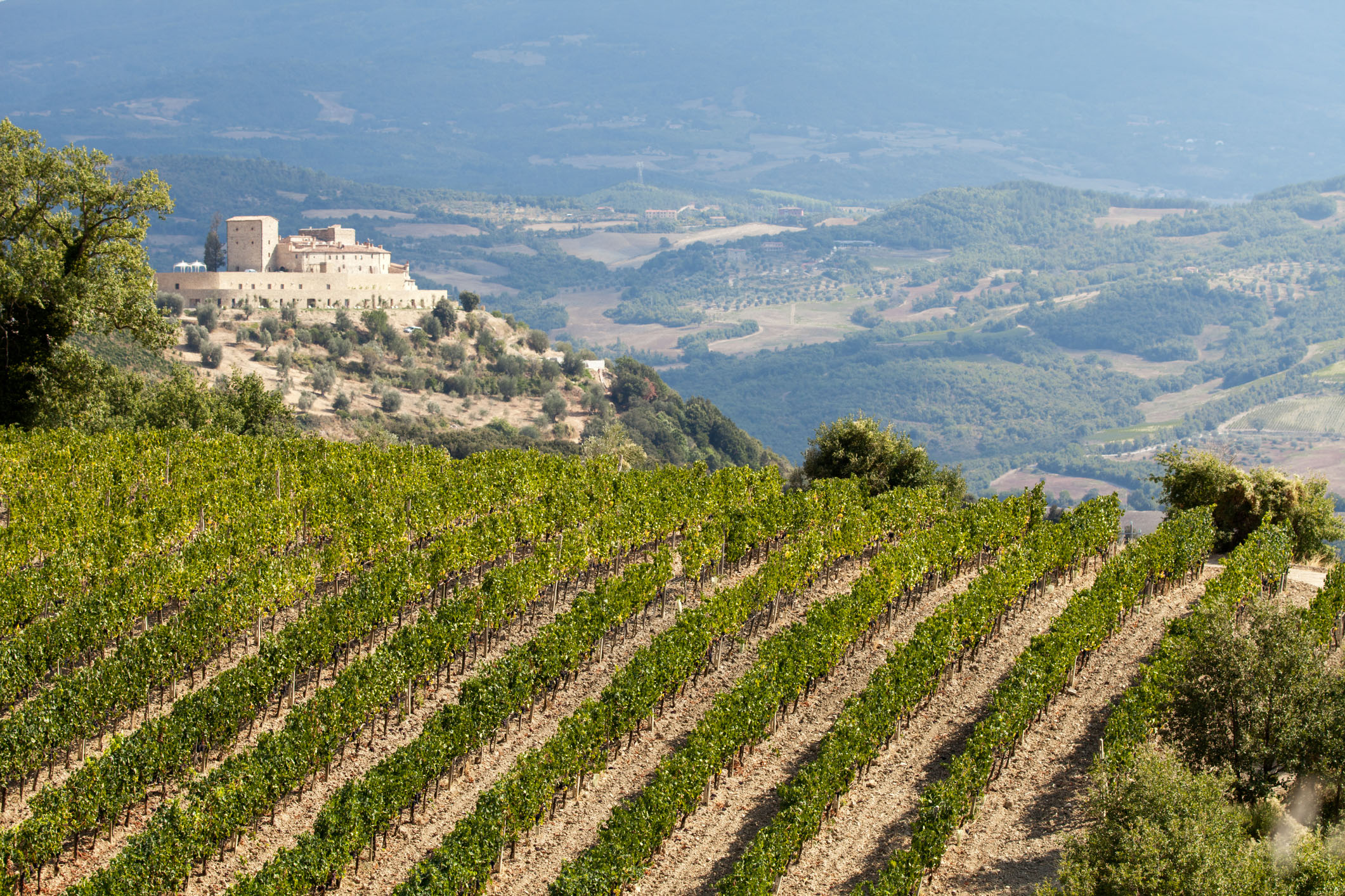 Brunello di Montalcino:  Reflecting Place, Philosophy, Vintage  By Terry Nozick